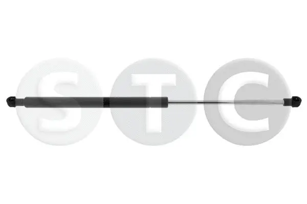 Gas Spring, boot/cargo area (T446722)