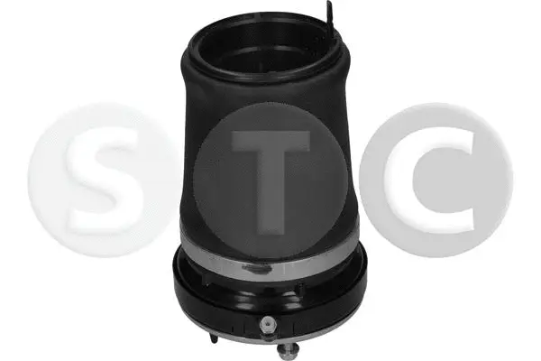 Air Spring, suspension (T442935)