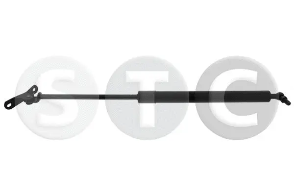 Gas Spring, boot/cargo area (T446320)