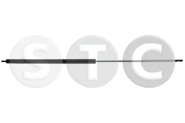 Gas Spring, boot/cargo area (T446656)