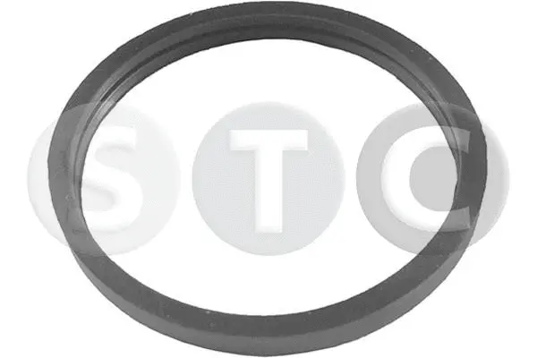 Seal, thermostat (T402361)