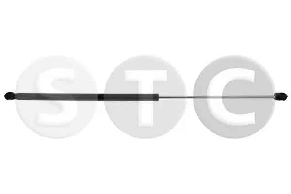 Gas Spring, bonnet (T446774)