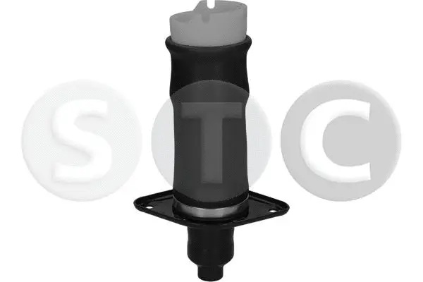Air Spring, suspension (T442984)