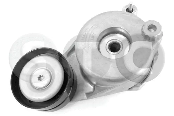 Tensioner Lever, V-ribbed belt (T415123)