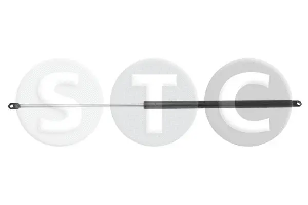 Gas Spring, boot/cargo area (T446637)