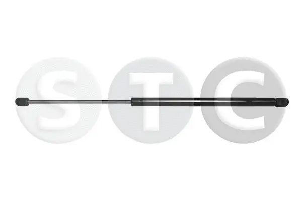 Gas Spring, boot/cargo area (T446389)