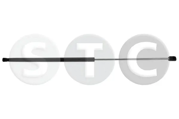 Gas Spring, bonnet (T446539)