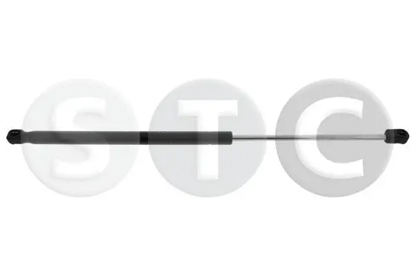Gas Spring, boot/cargo area (T446521)