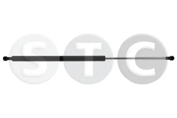 Gas Spring, boot/cargo area (T446313)