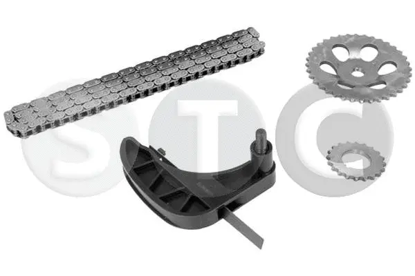 Timing Chain Kit (T413859)