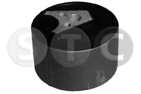 Mounting, engine (T405661)