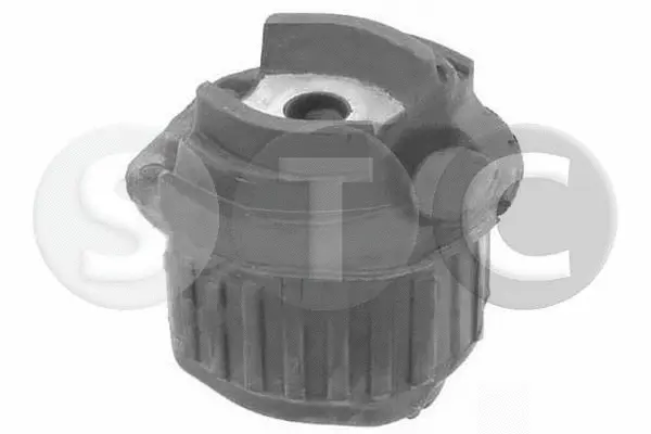 Bushing, axle beam (T406081)