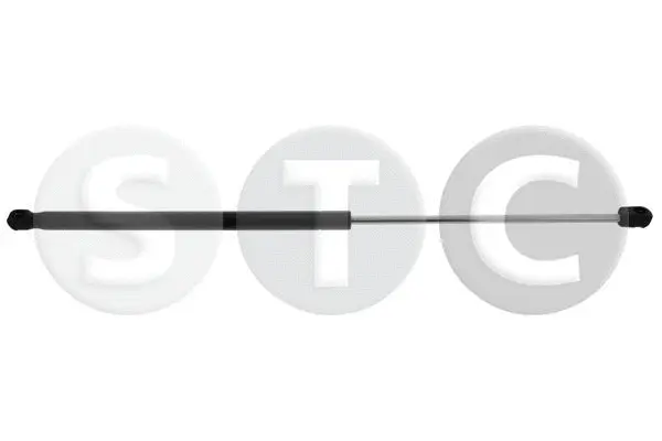 Gas Spring, boot/cargo area (T446751)