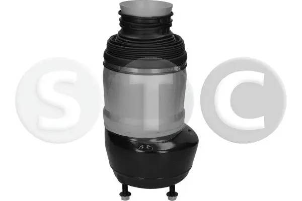 Air Spring, suspension (T442943)