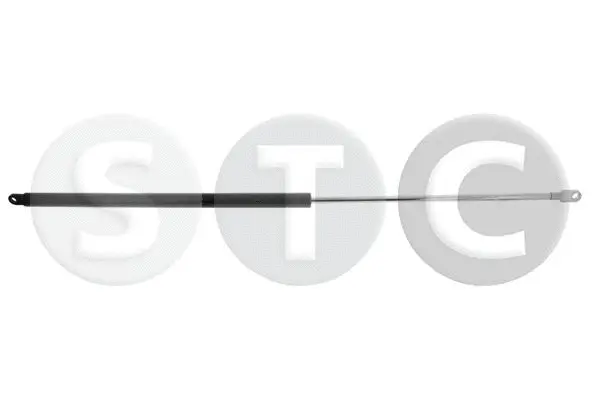 Gas Spring, boot/cargo area (T446132)
