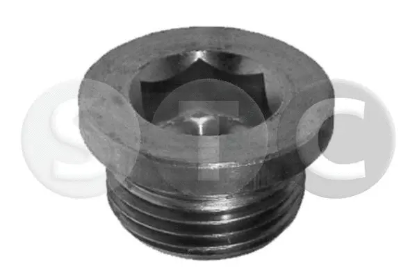 Screw Plug, oil sump (T400671)