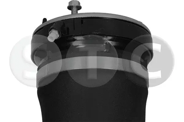 Air Suspension Strut