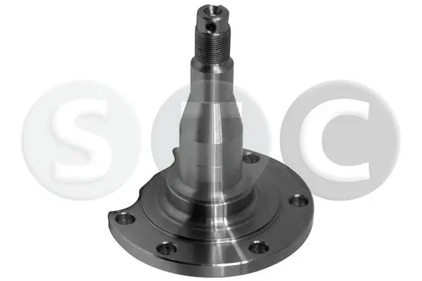 Steering Knuckle, wheel suspension (T490472)