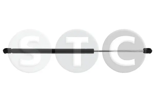 Gas Spring, boot/cargo area (T446546)