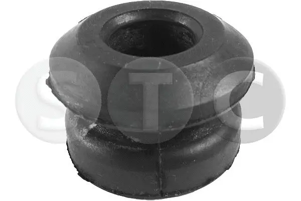 Bushing, axle beam (T458570)