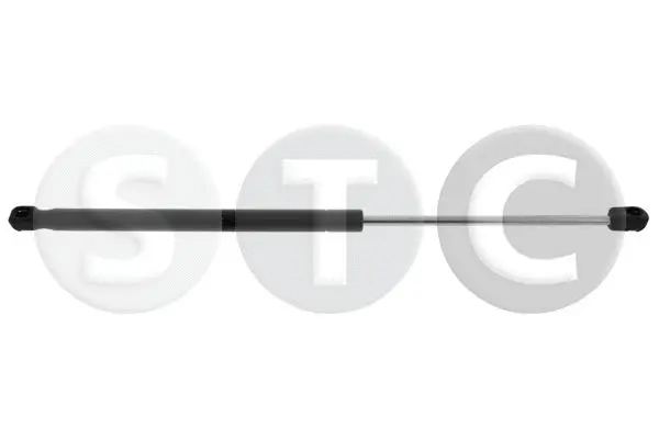 Gas Spring, boot/cargo area (T446241)