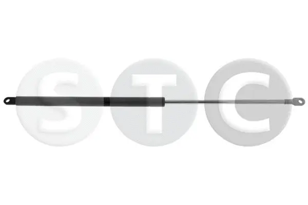 Gas Spring, boot/cargo area (T446910)