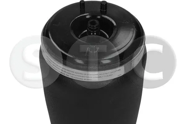 Air Spring, suspension