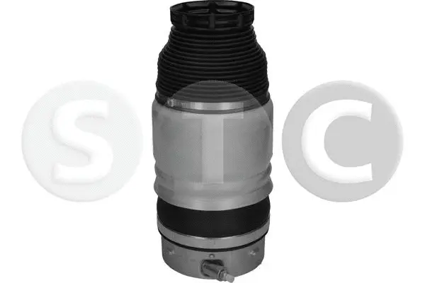Air Spring, suspension (T442941)