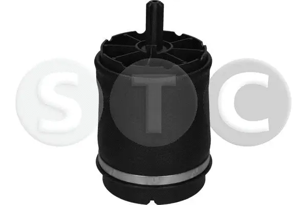 Air Spring, suspension