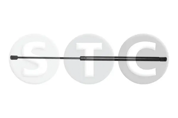 Gas Spring, boot/cargo area (T446550)