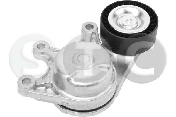 Tensioner Lever, V-ribbed belt (T449641)