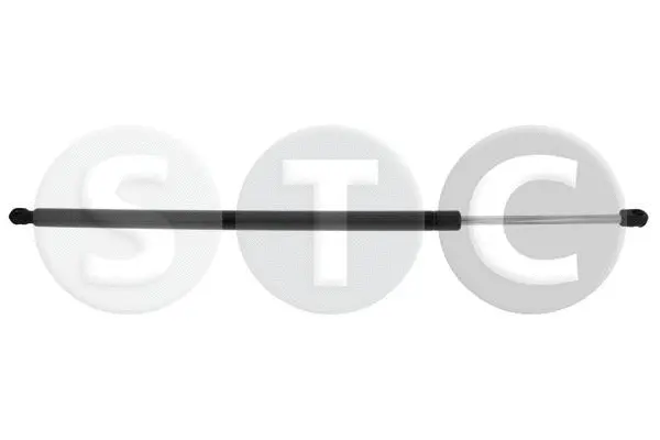 Gas Spring, boot/cargo area (T446684)