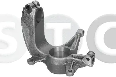 Steering Knuckle, wheel suspension (T490481)