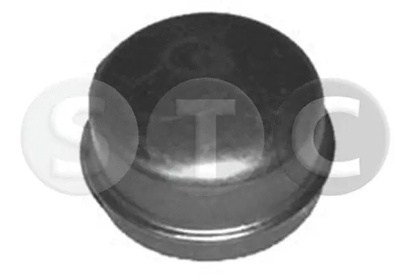 Protection Lid, wheel hub (T443488)
