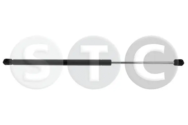 Gas Spring, boot/cargo area (T446721)