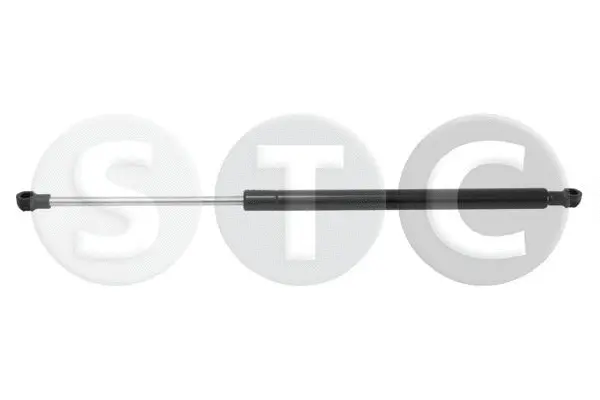 Gas Spring, bonnet (T446527)