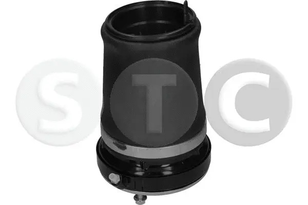 Air Spring, suspension