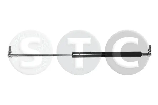 Gas Spring, boot/cargo area (T446782)