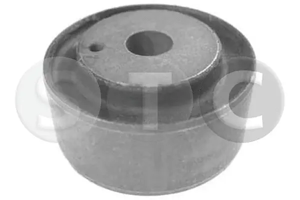 Mounting, transfer case (T406066)