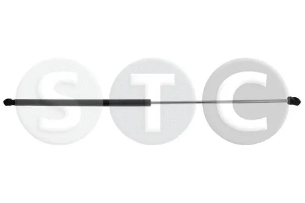 Gas Spring, bonnet (T446297)