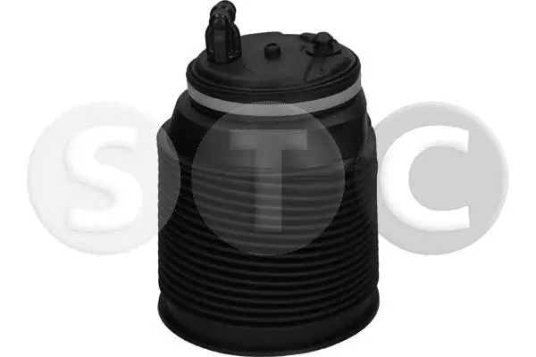 Air Spring, suspension