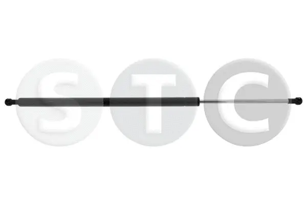 Gas Spring, boot/cargo area