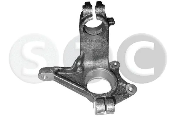 Steering Knuckle, wheel suspension (T490484)