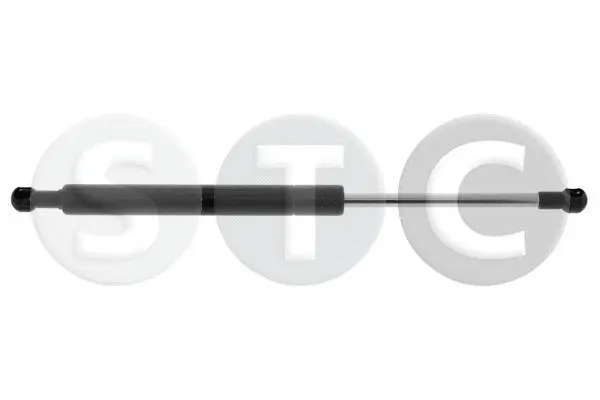 Gas Spring, boot/cargo area (T446414)
