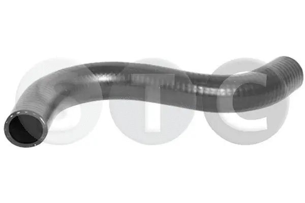Radiator Hose (T407574)