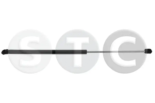 Gas Spring, bonnet (T446766)
