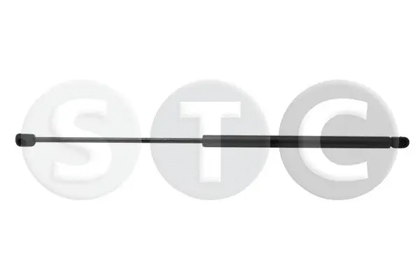 Gas Spring, boot/cargo area (T446423)
