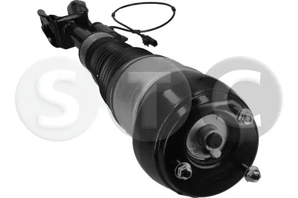 Air Suspension Strut (T442920)