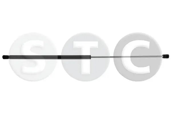 Gas Spring, bonnet (T446146)
