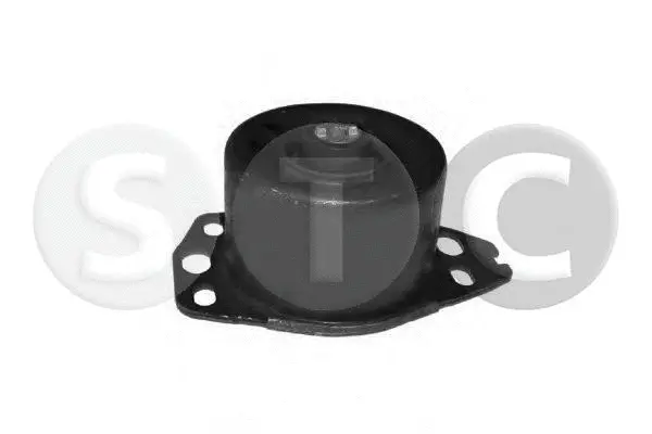 Mounting, engine (T457909)